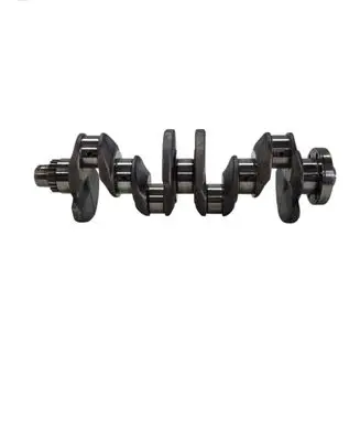 Skoda Octavia Mk2 (1Z) Crankshaft CAY A317
