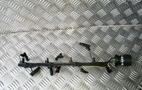 Volkswagen PASSAT B6 Fuel injector wires 038973132