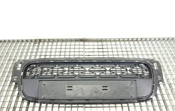 Citroen C3 Front bumper lower grill 9812061877