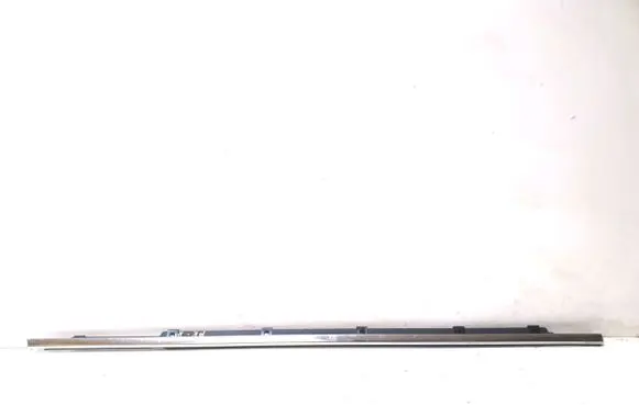 Hyundai Santa Fe Front door glass trim molding 