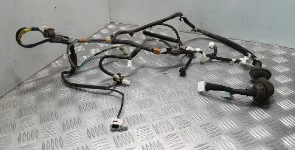 Front door wiring loom