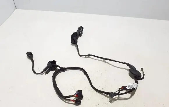 Audi A6 S6 C7 4G Other wiring loom 4G5971687AR