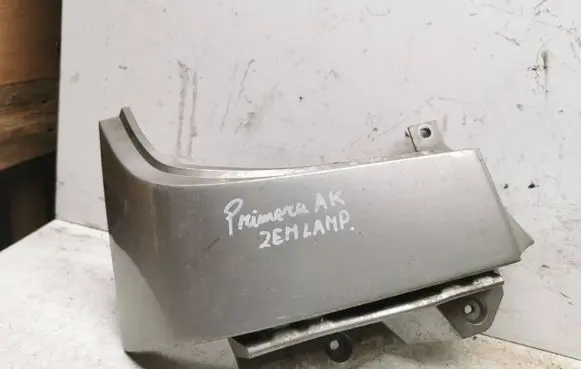Rear/tail light trim molding