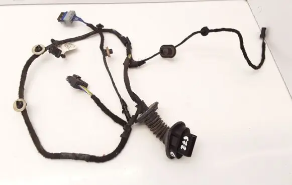 Citroen C3 Rear door wiring loom 9689005080