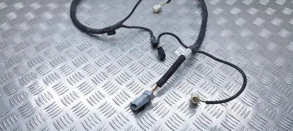 Citroen Berlingo Wiring harness 9814555780
