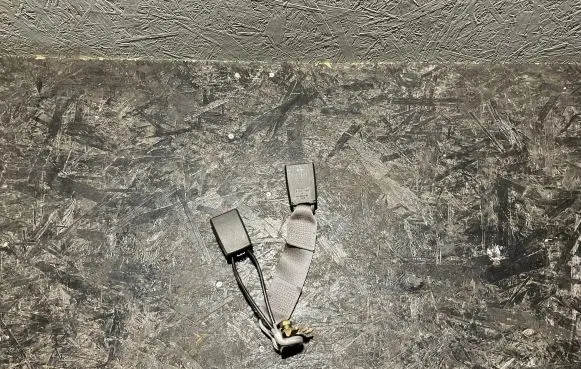 Middle seatbelt buckle (rear)