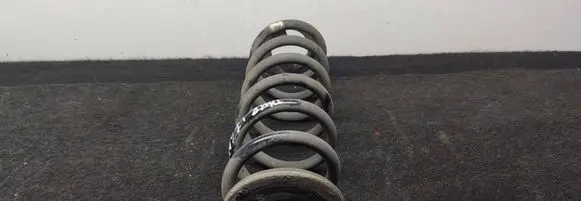 Rear coil spring