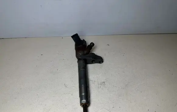 Hyundai ix35 Fuel injector 338002F300 0445110374