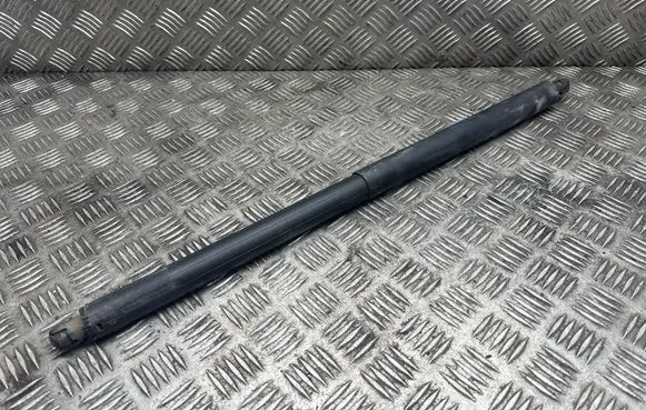 Tailgate/trunk strut/damper