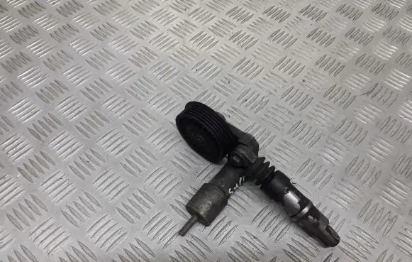 Skoda Superb B5 (3U) Alternator belt tensioner pulley 