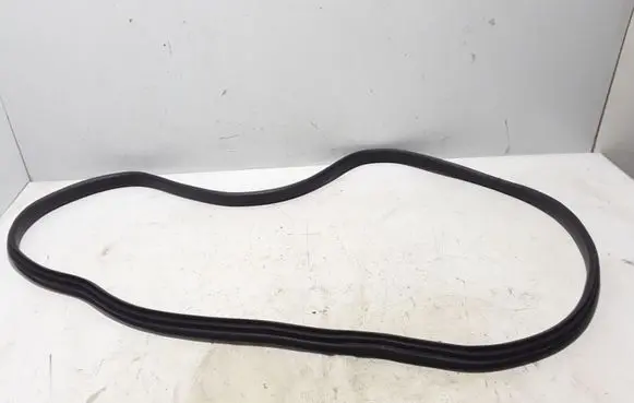 Rear door rubber seal (on body)
