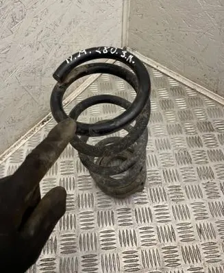 Rear coil spring