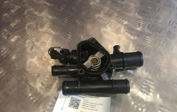 Thermostat/thermostat housing