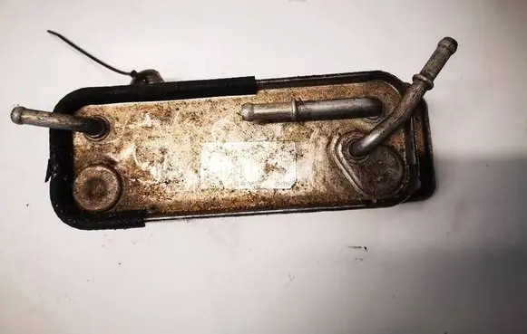 Mercedes-Benz CLK A209 C209 Engine oil radiator 