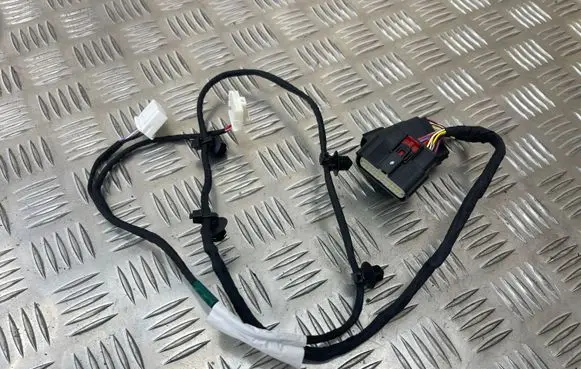 Tesla Model S Other wiring loom 148793700A