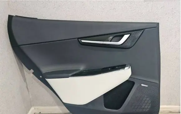 KIA EV6 Rear door card panel trim 