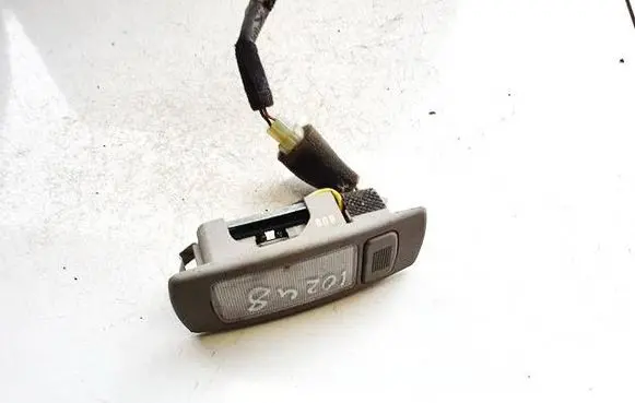 Hyundai Trajet Rear seat light