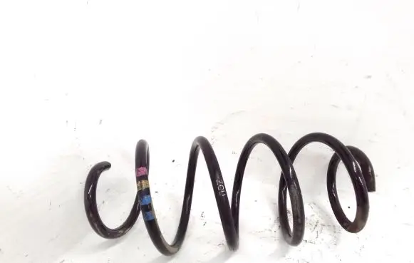 Front coil spring
