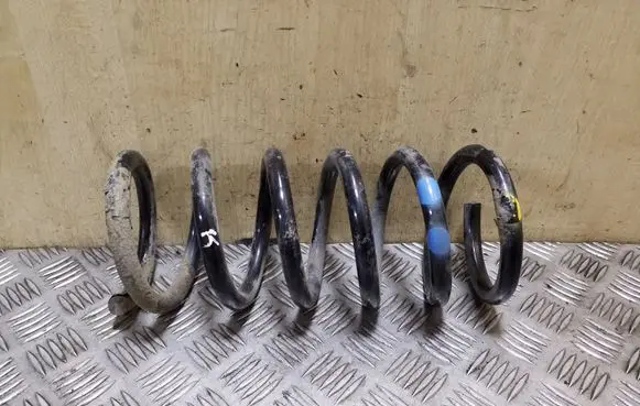 Chevrolet Captiva Rear coil spring