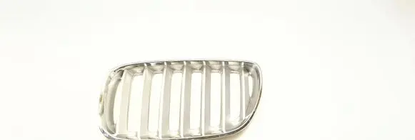 BMW X5 E53 Front bumper upper radiator grill 7124815