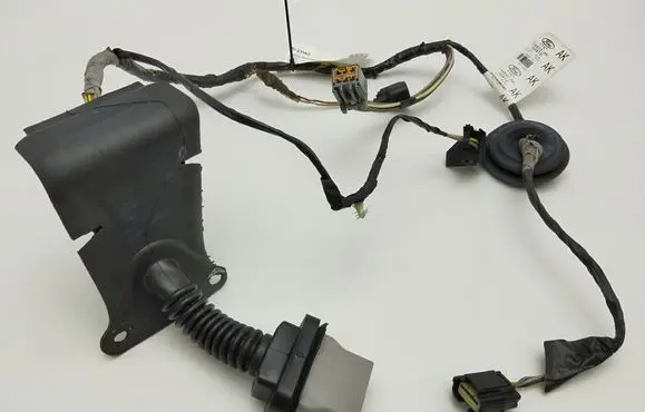Rear door wiring loom