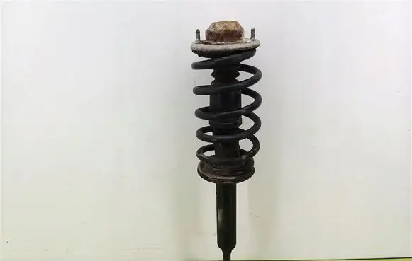 Skoda Superb B5 (3U) Front shock absorber with coil spring