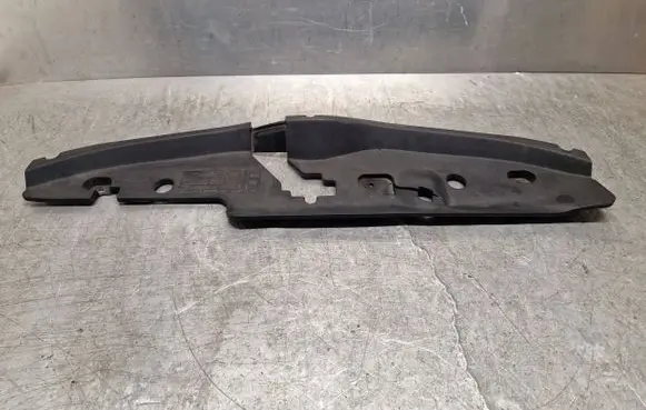 Engine bonnet/hood lock trim molding