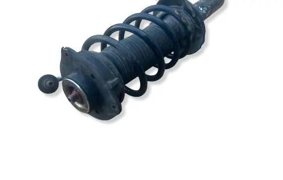 Volkswagen PASSAT B6 Front shock absorber with coil spring 