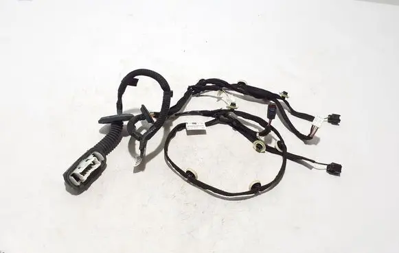 Other wiring loom
