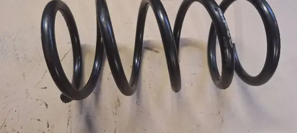 Rear coil spring