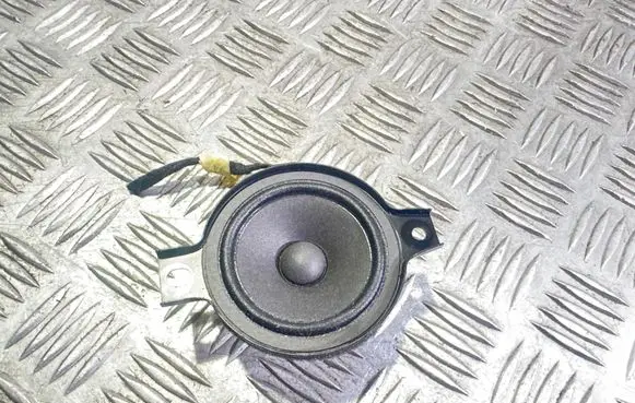 Panel speaker