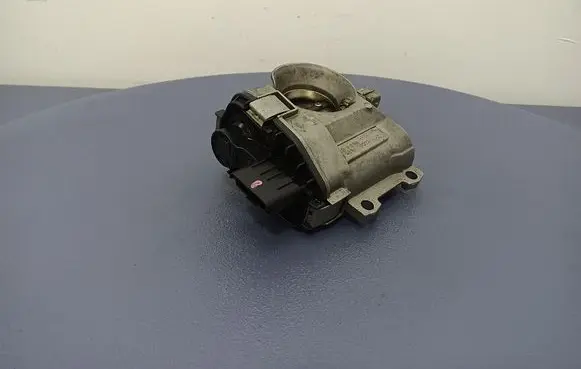 Renault Kangoo I Throttle body valve H8200067219