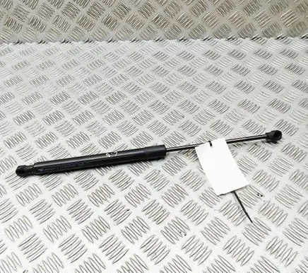 Renault Zoe Tailgate/trunk strut/damper 904502915R