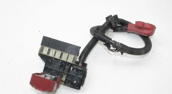 Nissan Leaf I (ZE0) Positive wiring loom 241053NF0A
