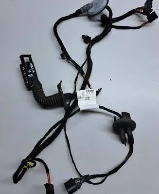 Front door wiring loom