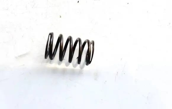 Volkswagen PASSAT B6 Valve spring 