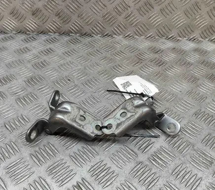 KIA Niro Front door hinges set AMD116920