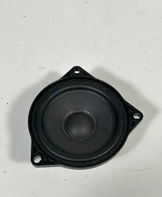 Tesla Model Y Panel speaker 107974200B