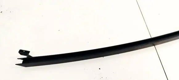 Renault Scenic II - Grand scenic II Front door glass trim molding 32574403112