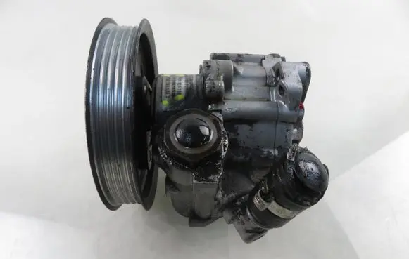 Volkswagen PASSAT B5 Power steering pump 8D0145156T 7690955102