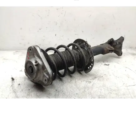 Mercedes-Benz E W212 Front shock absorber with coil spring A2123230020