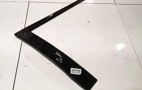 Other rear door trim element