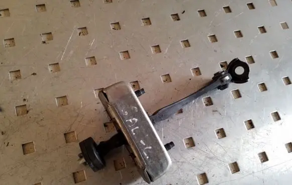 Rear door check strap stopper