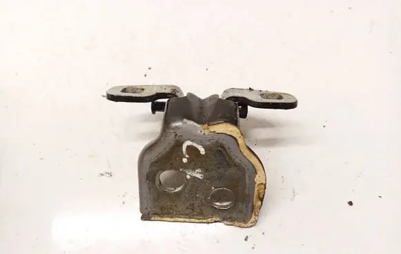 Dacia Sandero Rear door lower hinge 