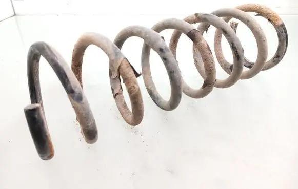 Ford Focus C-MAX Rear coil spring