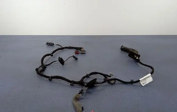 Volvo S90, V90 Other wiring loom 31676201