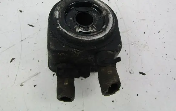 Citroen Xsara Picasso Engine oil radiator 