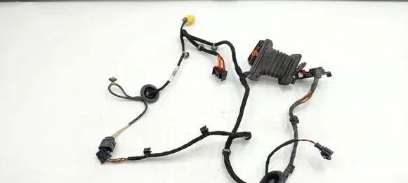 Volkswagen PASSAT B7 Rear door wiring loom 3C0971615