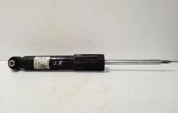 Volkswagen ID.4 Rear shock absorber/damper 1EA512013