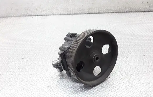 Peugeot Boxer Power steering pump 7613955514